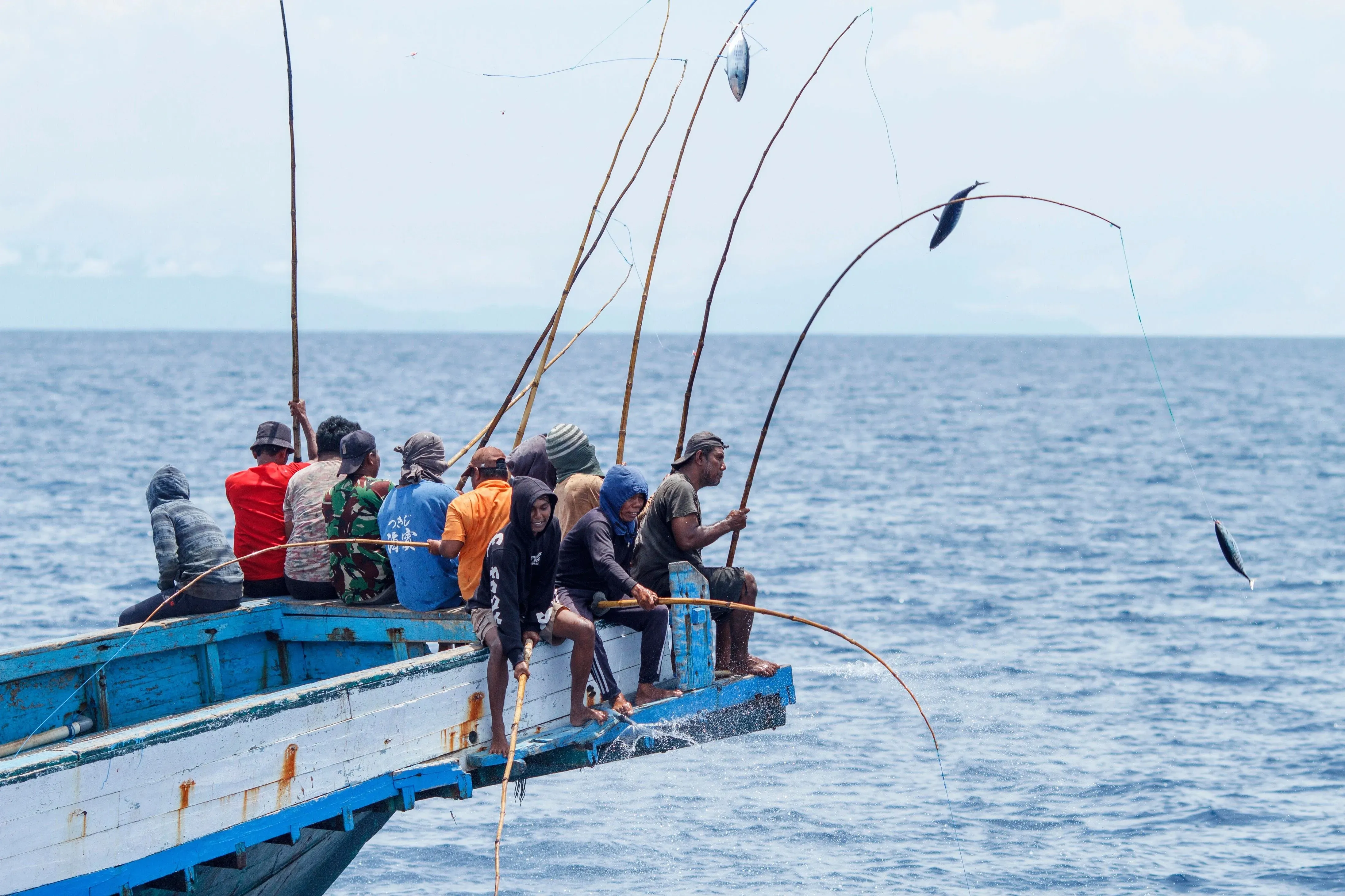 Fishermen on a boat in the open ocean pulling fish from the water with long poles.