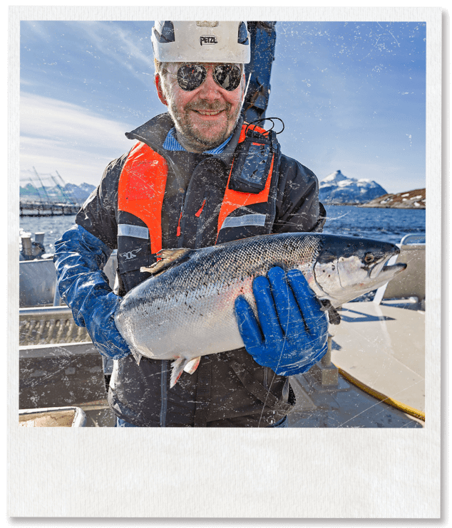 Continuous Fish Tale The Journey of Fish Tales