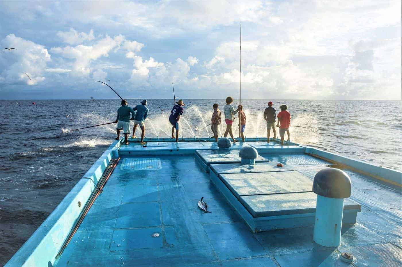 Explained: tuna fishing by pole and line - Fish Tales