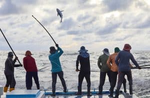 Hengel & lijn visserij in de Malediven